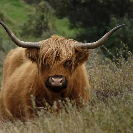 Four Seasons Zuiderstraat