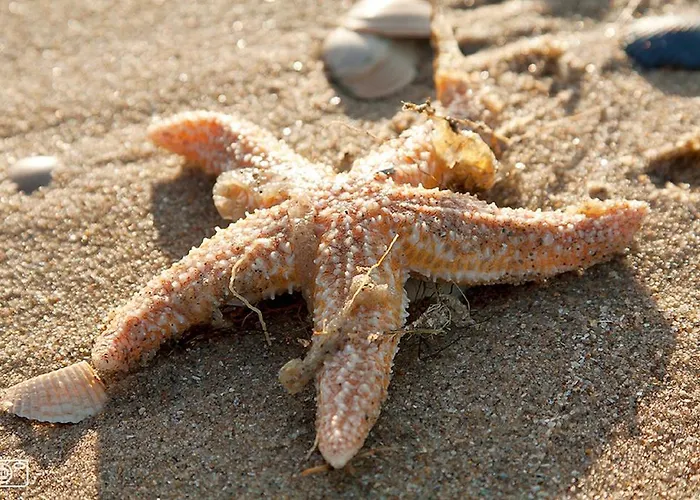 Four Seasons Zuiderstraat 아파트 에크몬드안지