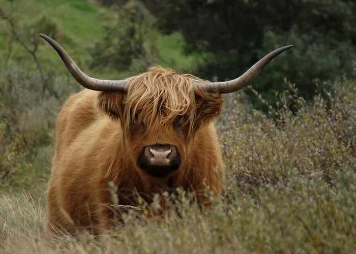 Four Seasons Zuiderstraat