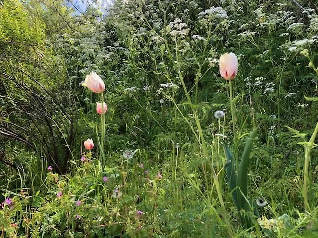 Four Seasons Zuiderstraat *